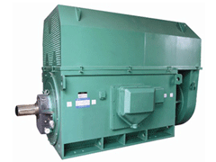 YKS5004-10Y系列6KV高压电机