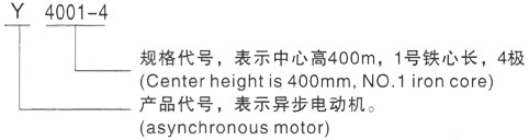 西安泰富西玛Y系列(H355-1000)高压YKS5004-10三相异步电机型号说明